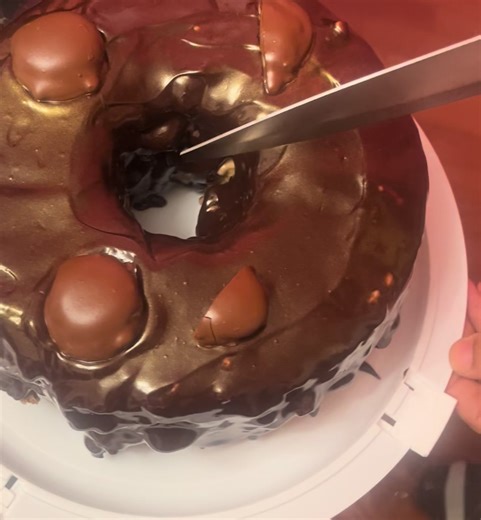 🤤 😮 ♥️#trending #tiktokviralvideo #turtles