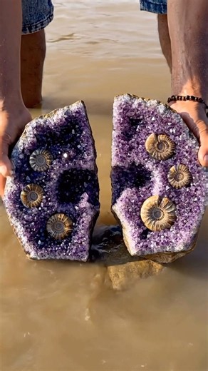 Stunning Amethyst Geode Filled with Ancient Ammonite Fossils | Nature’s Hidden Treasure