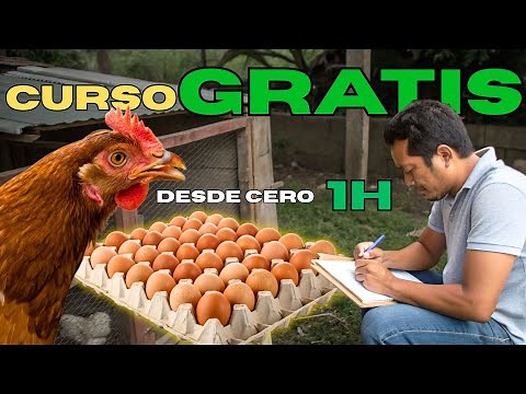 Curso GRATIS de Gallinas Ponedoras Completo: Aprende Fácil y en CASA