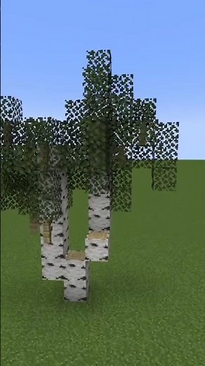 How to Build Custom Birch Trees in Minecraft... #minecraft #minecraftshorts #minecraftguide