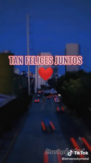 Happy Together - The Turtles Lyrics in Spanish