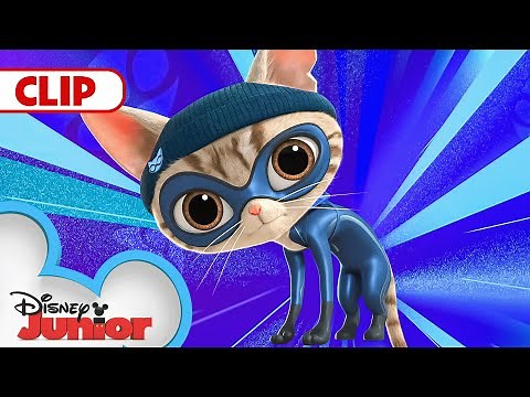 Cat Burglar Takes all the Cat Trees! 🐈‍⬛ | SuperKitties | ‪@disneyjr‬​