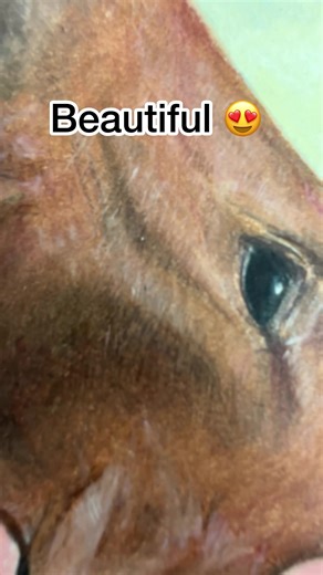I’ve been too nice recently… #horse #horseart #beautiful #beautifulhorse #horsegirl #horses #homse #beautifulart #relaxing #speedart #coloredpencil #cursedart #cursedimage #cursed #realisticart #realisticdrawing #horsedrawing #sunset #sunsetart