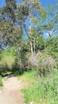 Psalms 88:1 Lord, you are the God who saves me; day and night I cry out to you.