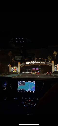 Exciting Journey in the Disney College Program