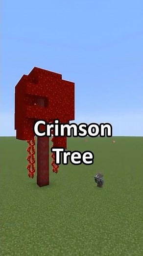 Which Minecraft Tree is the Best? Part 13: The Crimson Fungus #shorts #minecraftshorts #minecraft