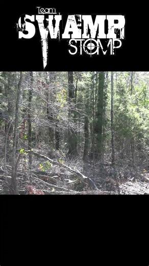 Hog Dog Action #hunting #texas #wildboar