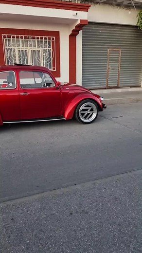 Volkswagen Beetle Showcase: Red and Green Models