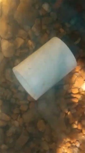 my natural point setup