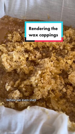 Processing Beeswax from Honeycomb - Beekeeping Tips and Tricks