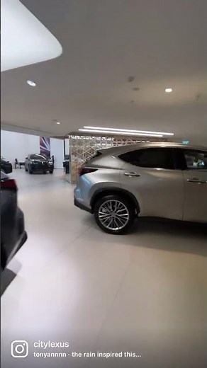 Lexus NX vs RX SUV range
