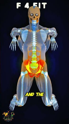 Effective body Workout | Build Strength #fitness #viral #gym #gymlife #yt #hipsworkout #youtube