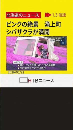 甘い香りとピンクの絶景！北海道滝上町でシバザクラが見頃