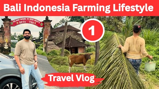 Traditional Village Life in Bali, Indonesia 🇮🇩 | Authentic Farming Lifestyle Step into the heart of Bali and discover the beauty of traditional village life. 🌾 Experience how local farmers work the lush rice fields, live in harmony with nature, and preserve age-old traditions passed down for generations. From planting and harvesting to daily village activities, this video offers an authentic glimpse into the peaceful and sustainable lifestyle of rural Bali.📍 Location: Bali, Indonesia🎥 Conte