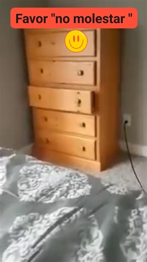 1.5K views · 191 reactions | Do not disturb  | Patricio Corrales Garrido | Facebook