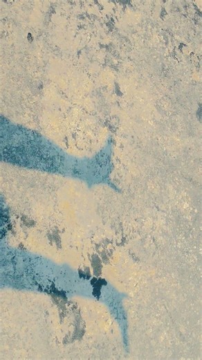 shadow hand movement #song #dance