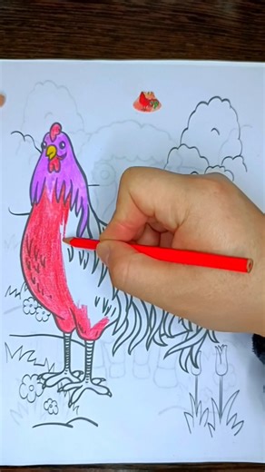 Colouring a beautiful rooster