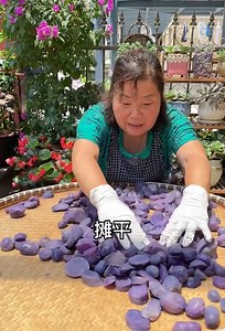 1.4M views · 10K reactions | Amazing Cooking Food With Natural Life | Dreamtv | Facebook