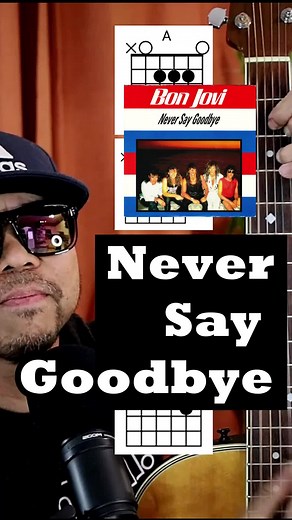 Learn to Play Never Say Goodbye on Guitar | Easy Tutorial for Beginners