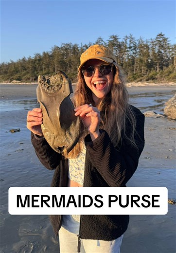 Exploring Mermaid's Purses: The Big Skate Fish