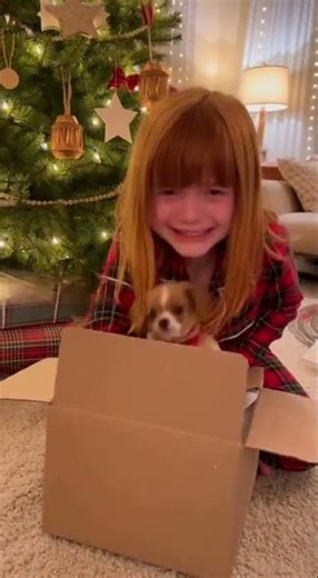 This Christmas surprise made her cry happy tears 🐶✨ #FamilyGoals #Wholesome