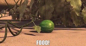 Food!