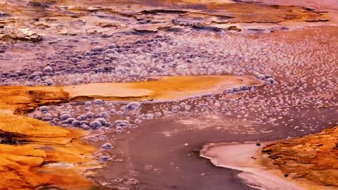 Prehistoric Earth: The Mysterious World Before the Dinosaurs Era