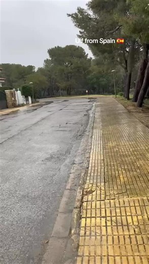 6.März 2026 12:05 in Miami Platja, Catalonia, Spain 🇪🇦 #miamiplatja #street #nature #rain #forest