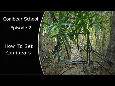 Conibear Schol Episode 2 How to Set and Stabilize Conibears
