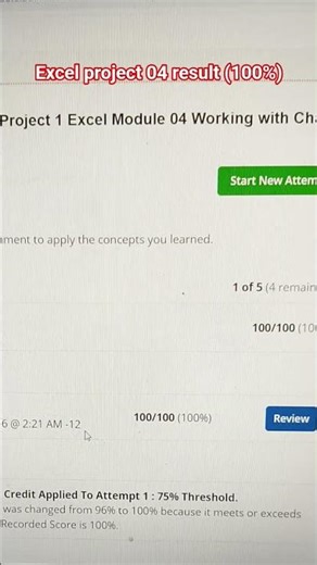 Sam End of Module Project 1 Excel Module 04 result