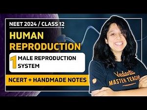Male Reproductive System | Human Reproduction | CBSE Class 12 Biology 🎯 VEER NEET Batch 2024👩🏻‍⚕️