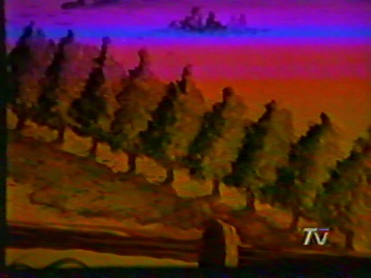 Looney Tunes - Mis Grabaciones en VHS