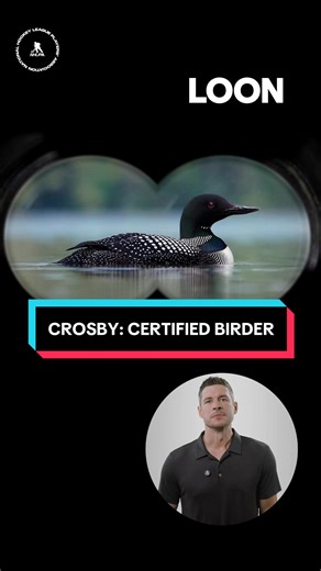 We set the birdwatching record straight with Sidney Crosby and Kevin Hayes, but still keeping our eyes peeled for those No. 87 binoculars this #NationalBirdDay 👀🐦 #HockeyTikTok #NHL #SidneyCrosby