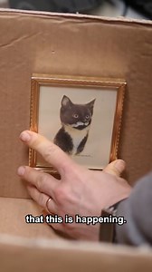 Here’s how your videos stop looking so shaky through the use of AI and image stabilisation. #AI #Photography #Videography #Editinghacks #Stevemould | Steve Mould