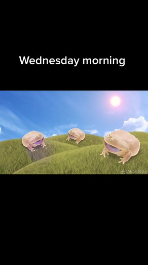 Wednesday Memes: It's Wednesday My Dudes Frog Compilation