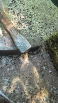 I Can't Believe How Much GOLD Is in This Bedrock…