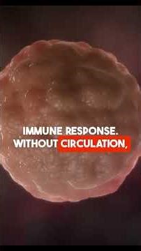 Circulatory System Explained | Blood Flow & Heart Function