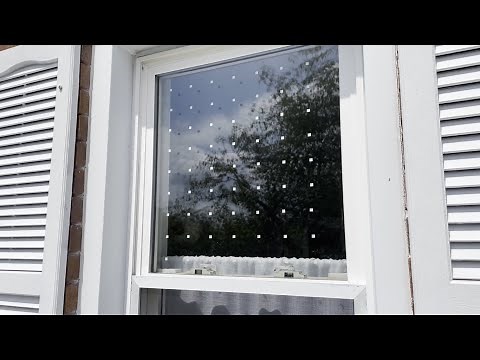 Bird Safe Windows: How to Install