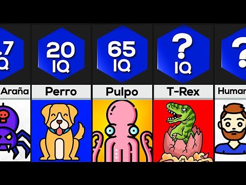Comparación: Inteligencia Animal