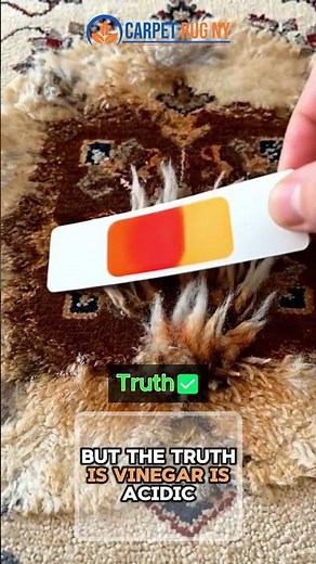 Does WHITE Vinegar Really Remove Every DIY Stain from Carpets?