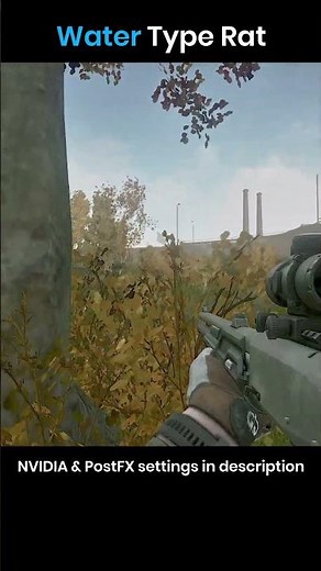 Water Type Rat #ratting #escapefromtarkov #customs