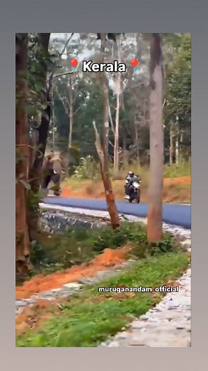 46K views · 657 reactions | Elephant chasing Bike...Just missing.... | S Muruganandam | Facebook