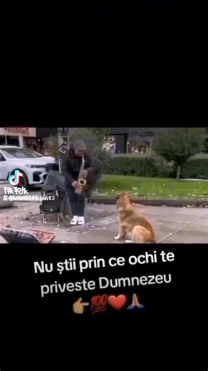 Lupul singuratic (@suverani8)’s videos with Pitch Black - Michael McLafferty & Rex Logan & Sam Roth