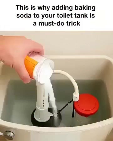 Adding baking soda to your toilet tank...See more... | Stormi Maya