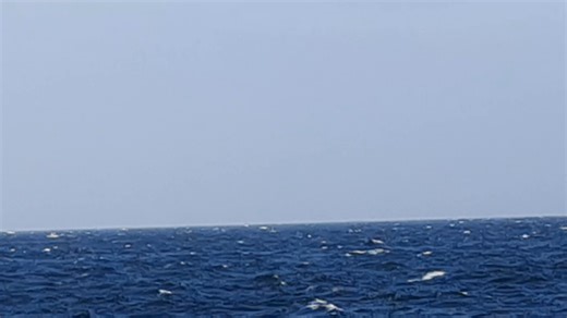 3.8K views · 99 reactions | There be whales off Jervis Bay! | Sydney Heritage Fleet | Facebook