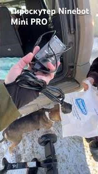 Гироскутер Ninebot Mini PRO оригинал