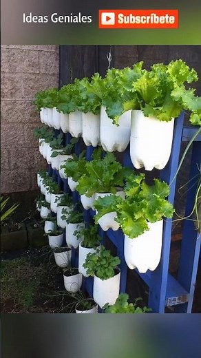 Ideas fantásticas para reciclar botellas de plástico con creatividad 😍♻✨.