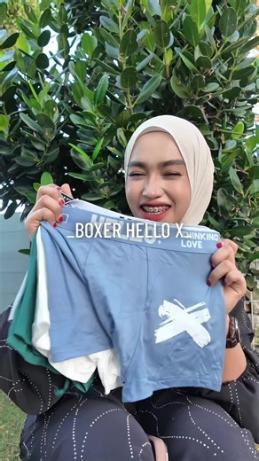 Discover Boxer Hello: The Ultimate Companion Experience