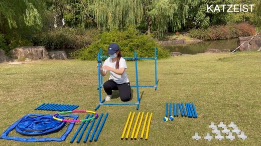 Watch Dog Agility Training Equipment Set on Amazon Live