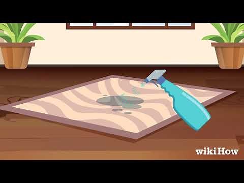 How to Get Rid of Vomit Smell